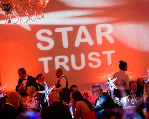 Star Trust ball